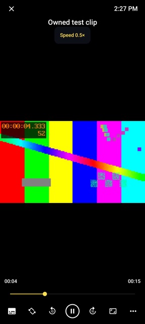 VidPik player displaying an owned test clip